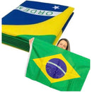 Bandeira do Brasil 60 x 90cm de Tecido - Torcedor Pro®